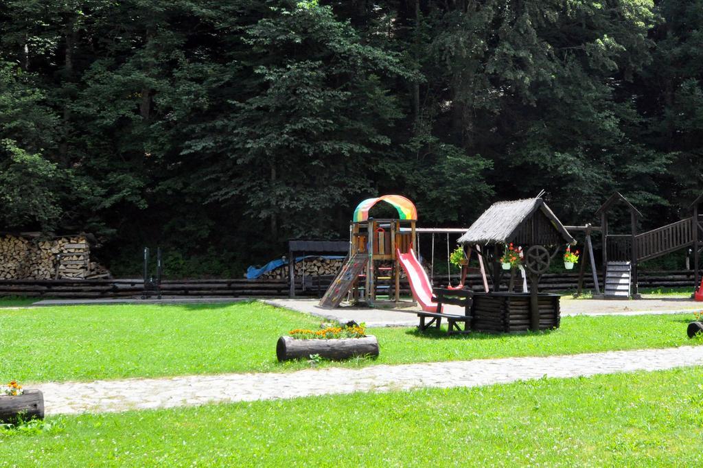 Pensiunea Denisa Lunca Bradului Zewnętrze zdjęcie